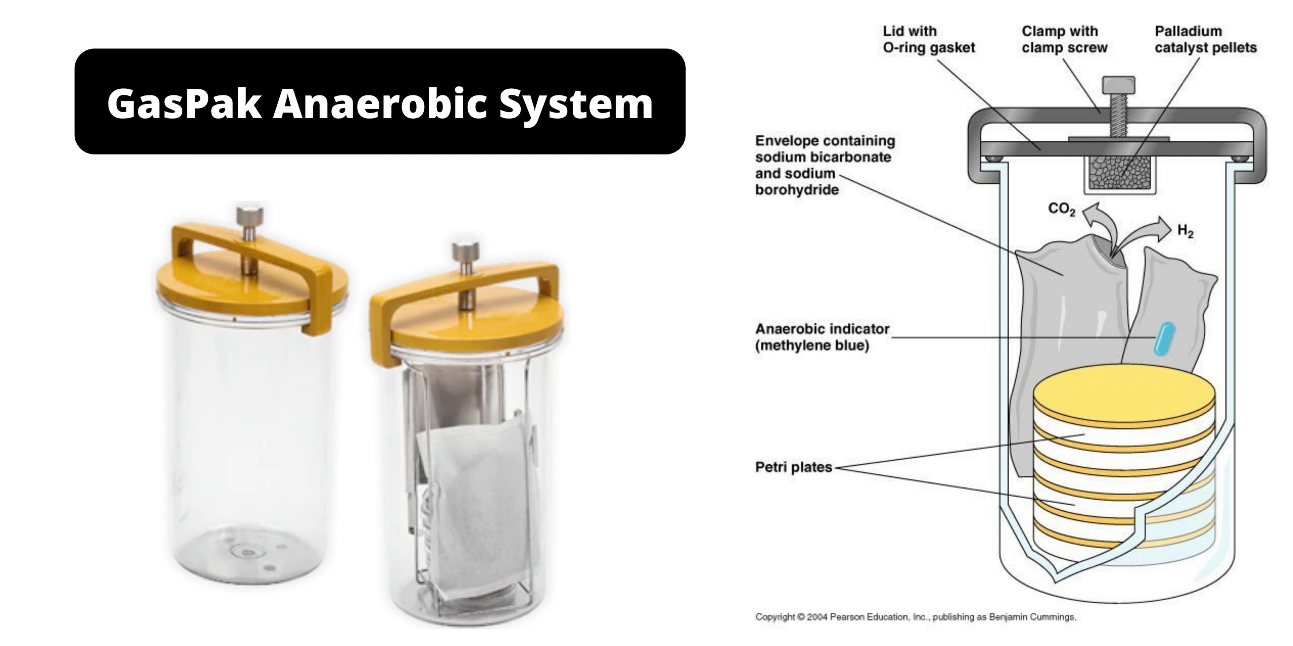 GasPak Anaerobic System - Principle, Application