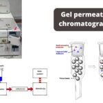 Gel Permeation Chromatography - Definition, Principle, Parts, Steps, Applications