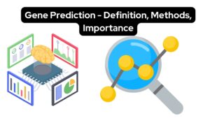 Gene Prediction – Definition, Methods, Importance