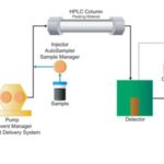 High-Performance Liquid Chromatography (HPLC)