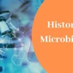Glorious History of Microbiology
