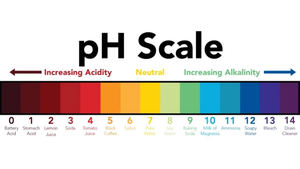 How to Calibrate ph Meter? - Biology Notes Online