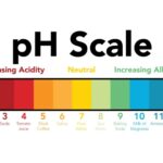 How to Calibrate ph Meter?
