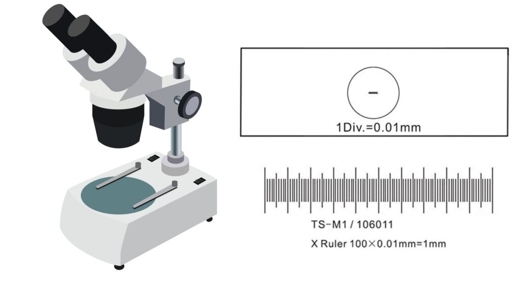 How to calibrate a Microscope With a Stage Micrometer? - Biology Notes ...