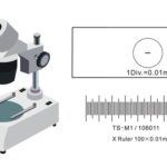 How to calibrate a Microscope With a Stage Micrometer?