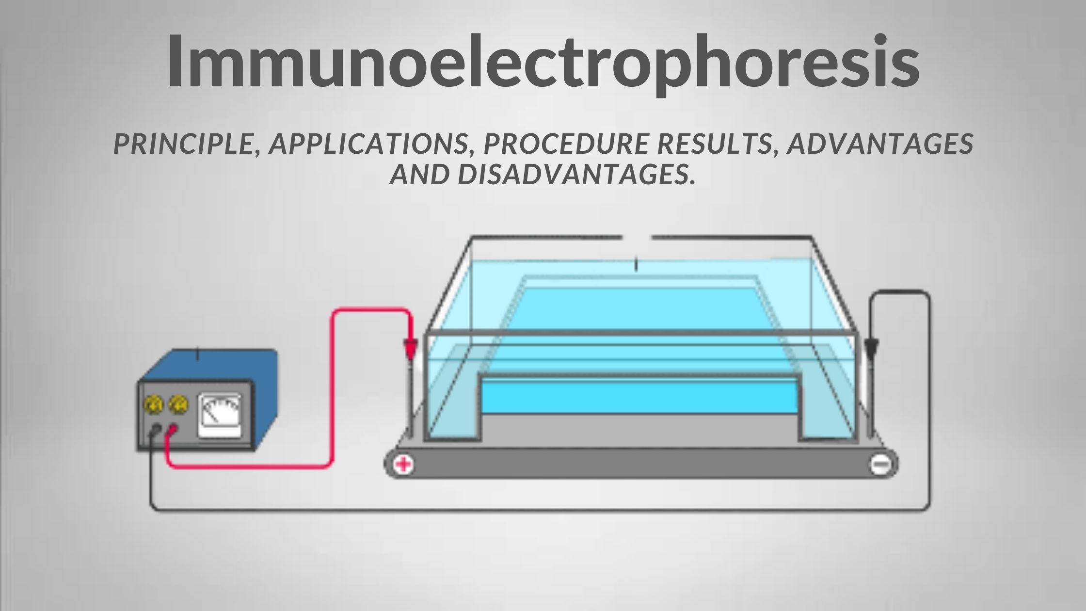 Immunoelectrophoresis - Principle, Applications, Procedure, Results, Advantages and Disadvantages.