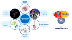 In Silico drug designing and role of bioinformatics
