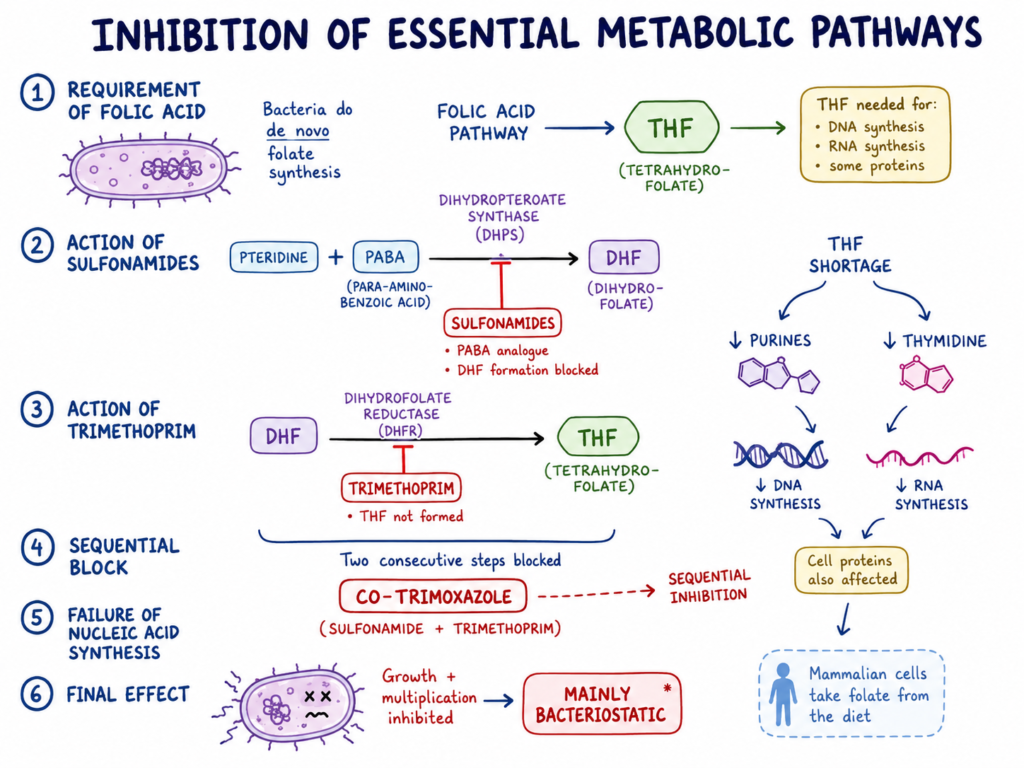 Inhibition of Essential Metabolic Pathways