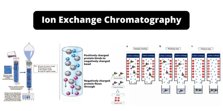 Ion Exchange Chromatography – Definition, Principle, Protocol, Applications, Examples