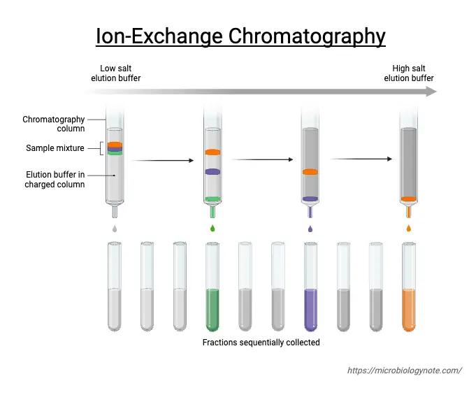 Ion exchange mechanism in Ion Exchange Chromatography