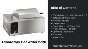 Laboratory Water bath – Principle, Types, Parts, Operating Procedure, Uses
