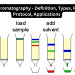 Hydrophobic Interaction Chromatography (HIC) - Biology Notes Online