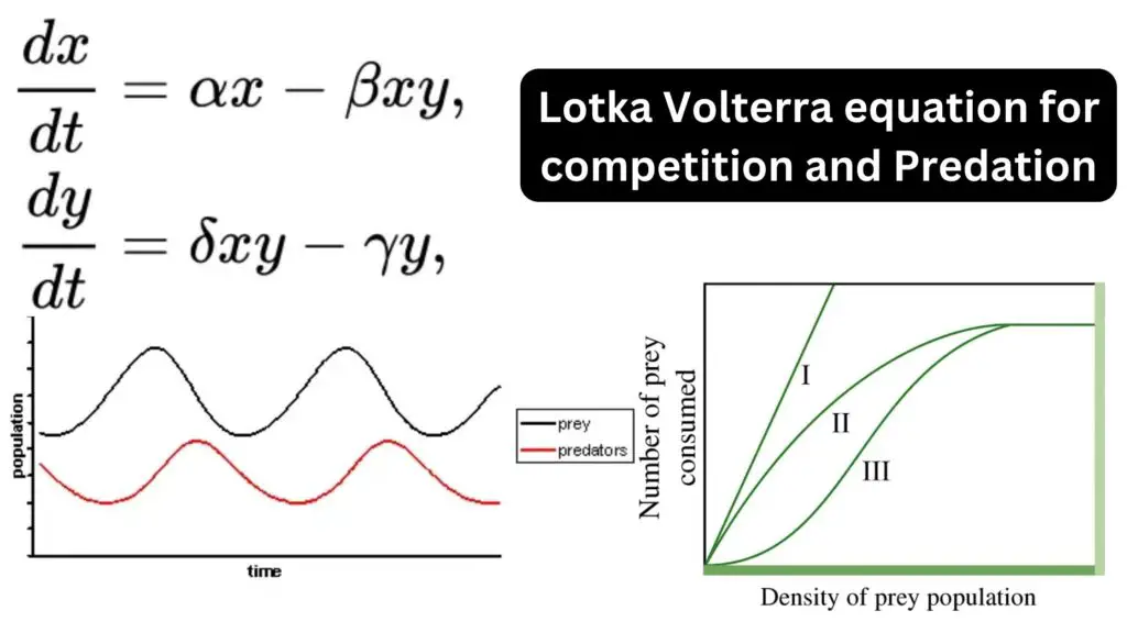 Lotka Volterra Equation For Competition And Predation - Biology Notes ...