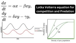 Lotka Volterra equation for competition and Predation