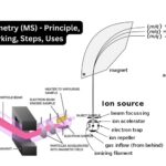 Mass Spectrometry (MS) - Principle, Parts, Working, Steps, Uses