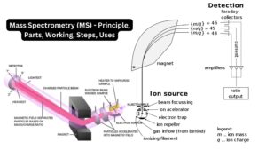 Mass Spectrometry (MS) – Principle, Parts, Working, Steps, Uses