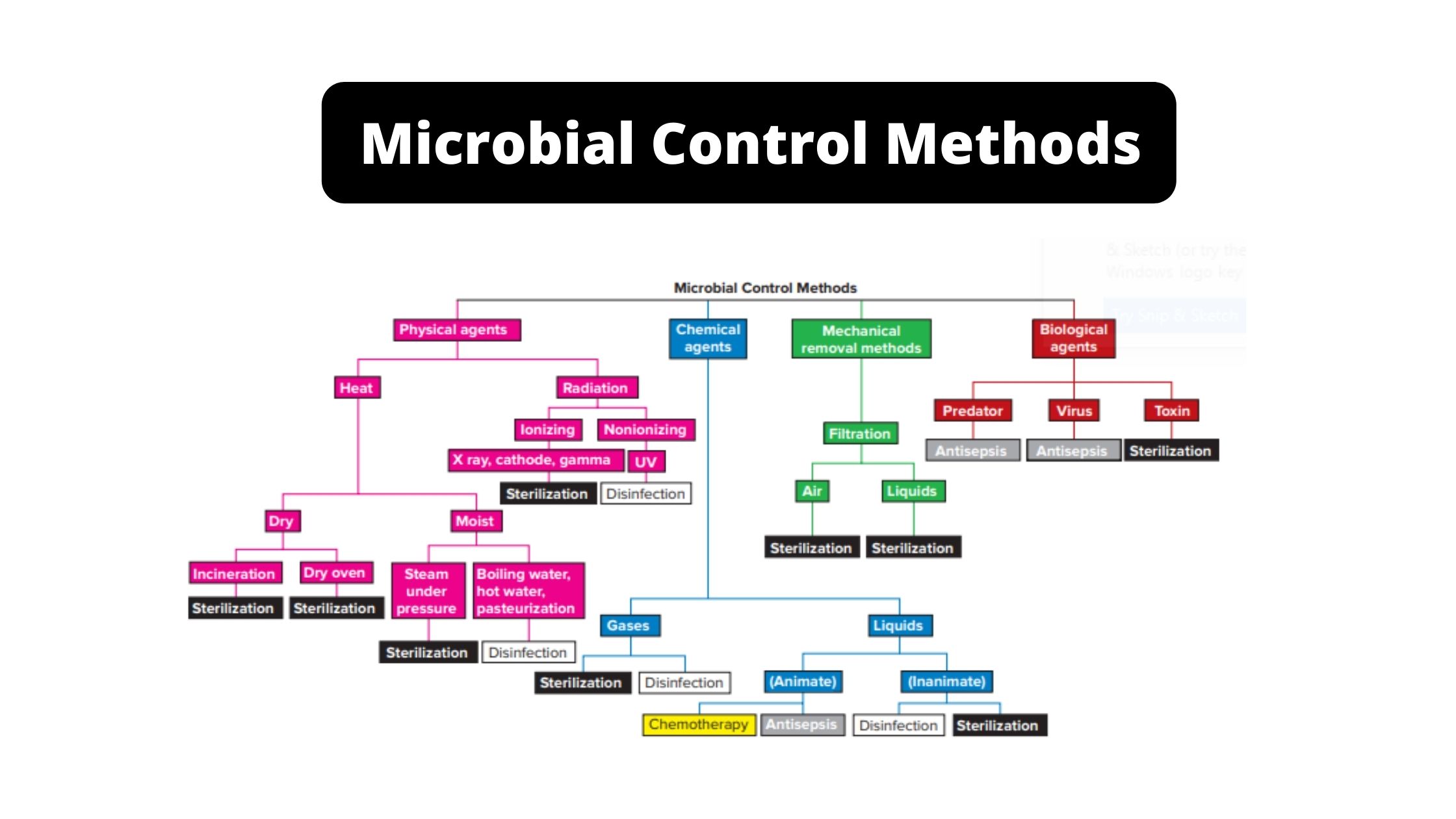 Microbial Control MethodsMicrobial Control Methods