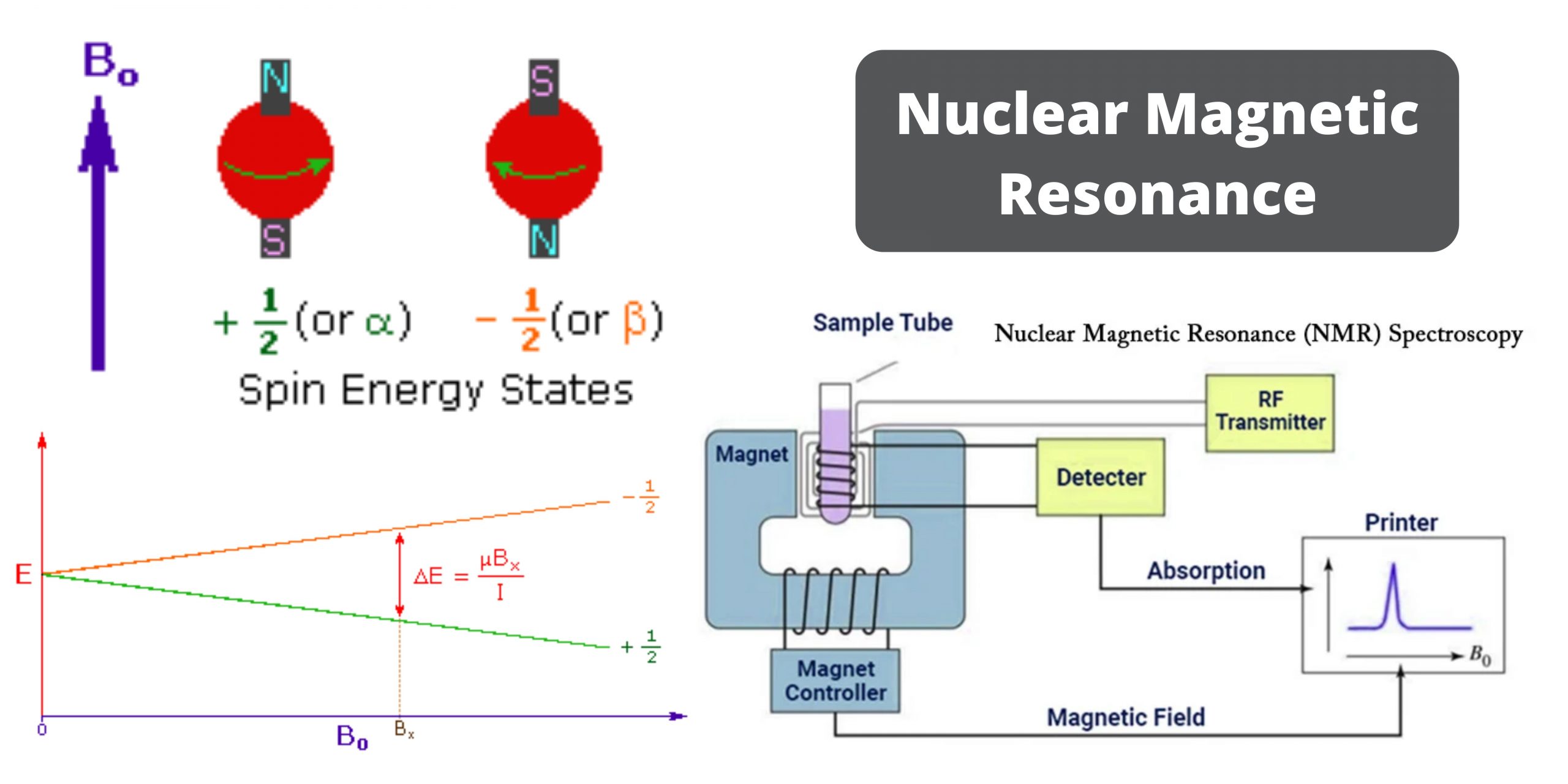 NMR Spectroscopy - Definition, Principle, Steps, Parts, Uses