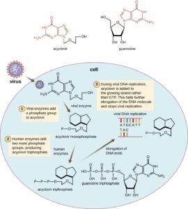 Antiviral Drug – Mode of Action