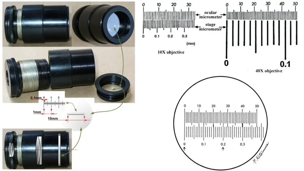 Ocular Micrometer - Definition, Principle, Parts, Applications ...