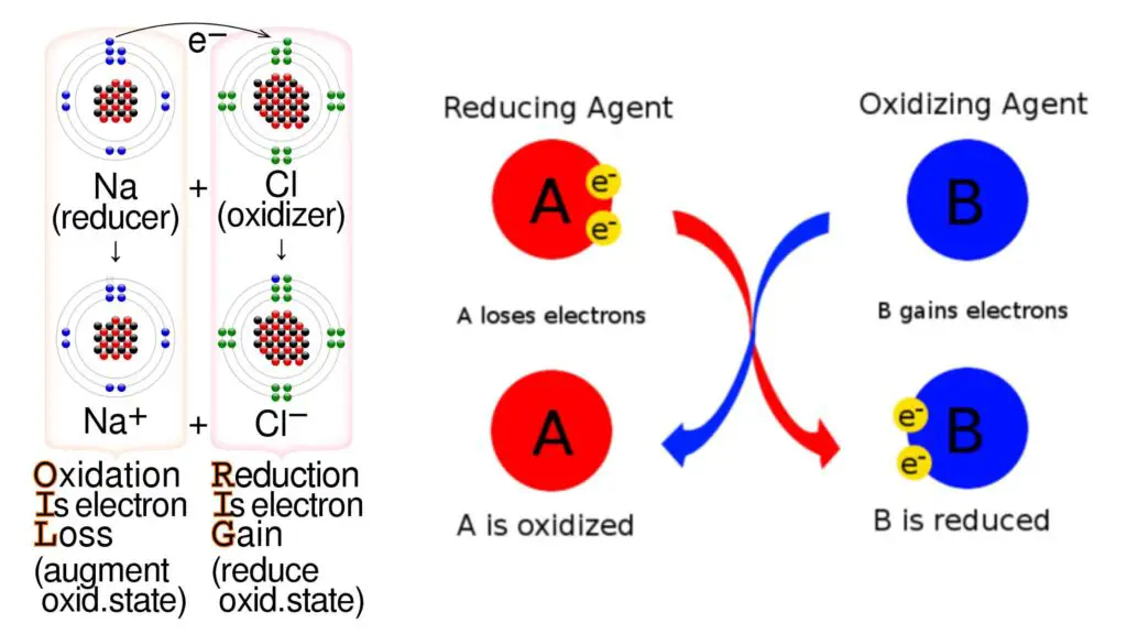 Oxidizing Agent - Definition, Factors, Applications, Examples - Biology ...