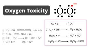 Oxygen Toxicity – Mechanism, Damages, Protective Mechanism