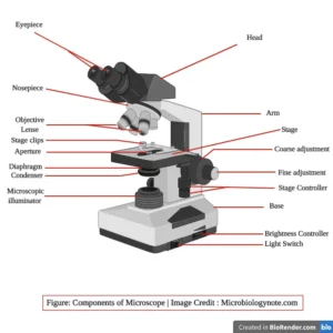 Parts of a Microscope and Their Functions