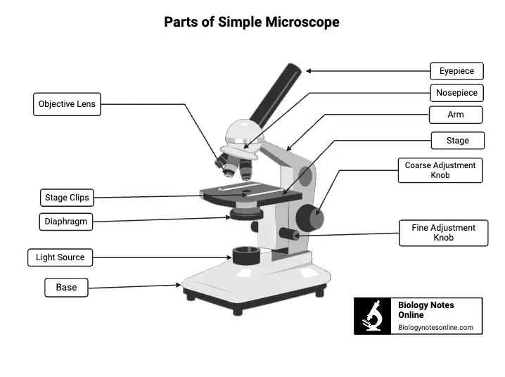 Parts of Simple Microscope