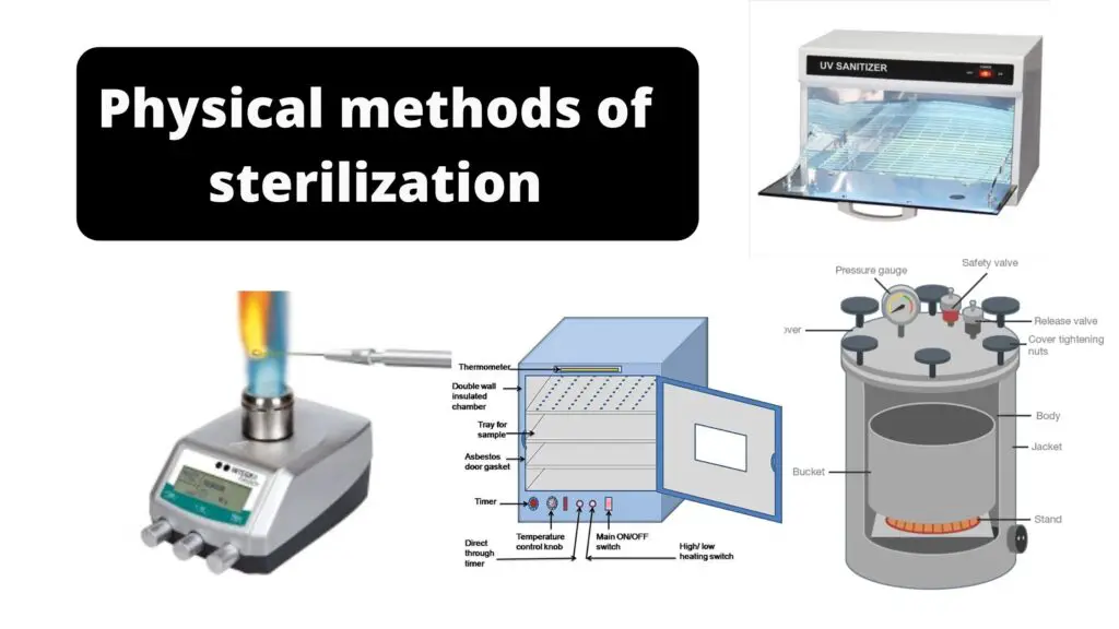 Physical Methods Of Sterilization Biology Notes Online 2748