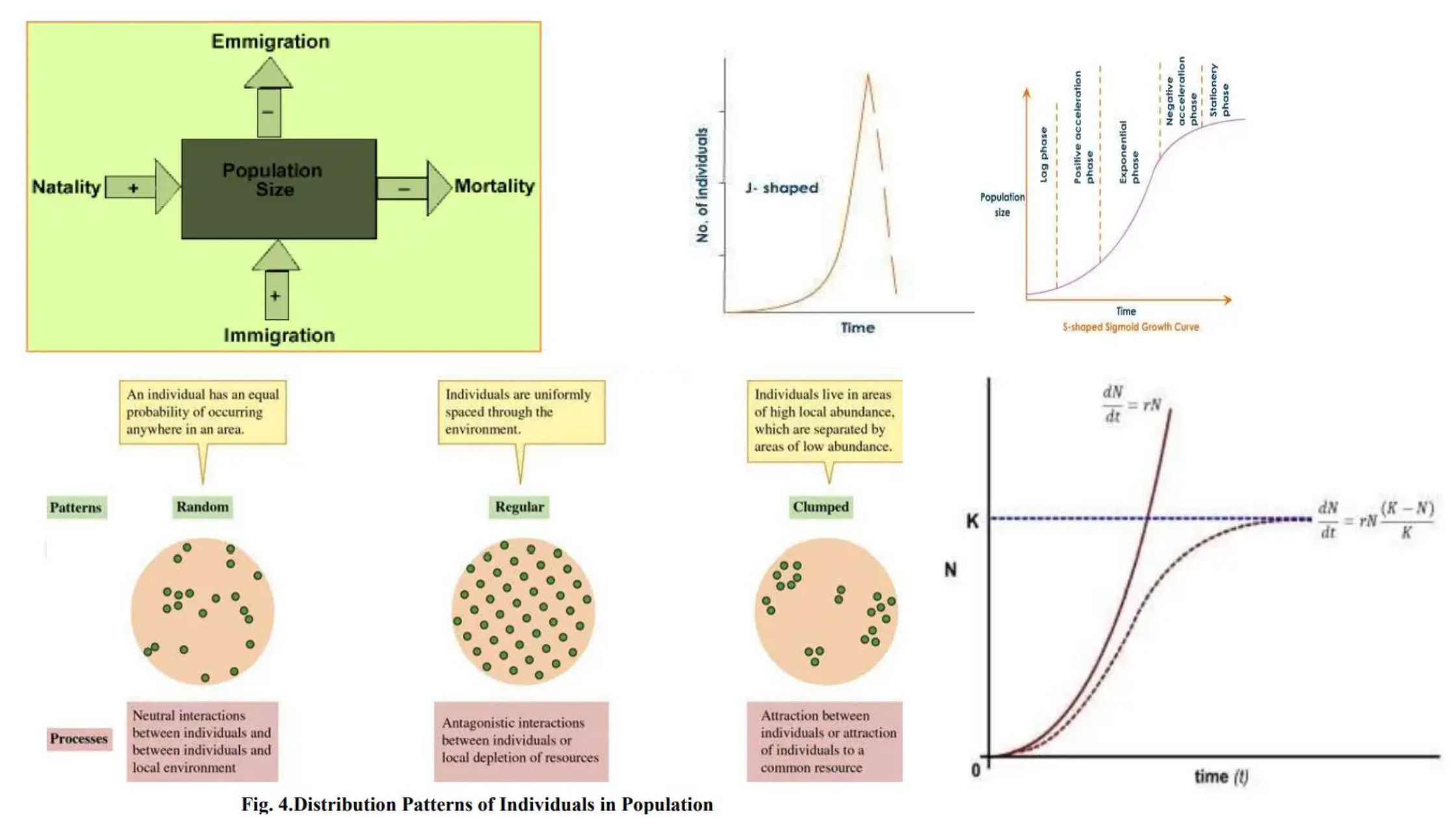 Population - Definition, Characteristics, Growth, Regulation, Types