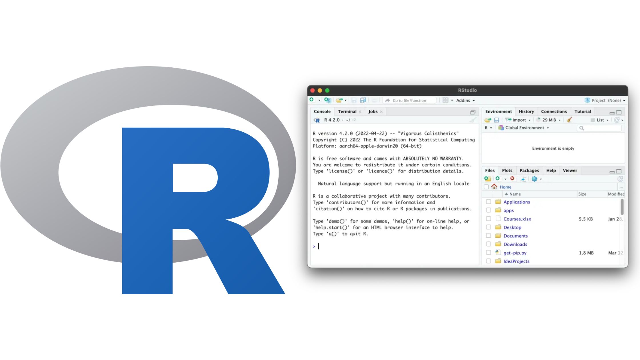 R Programming Language in Bioinformatics