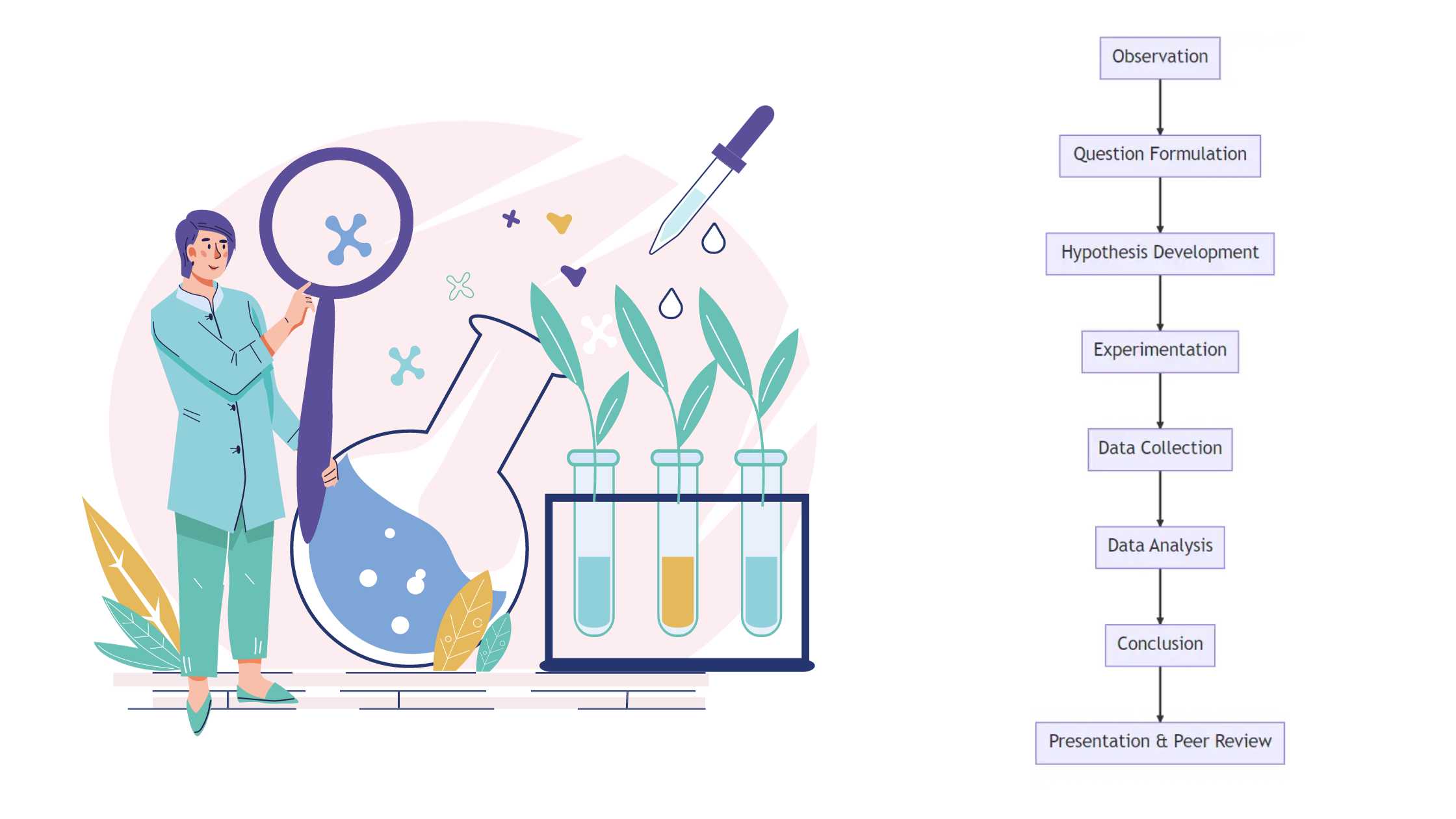 Scientific Method - Dfinition, Steps, Examples, Importance