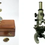 Simple Microscope: Working Principle, Uses, Parts, and their Functions.
