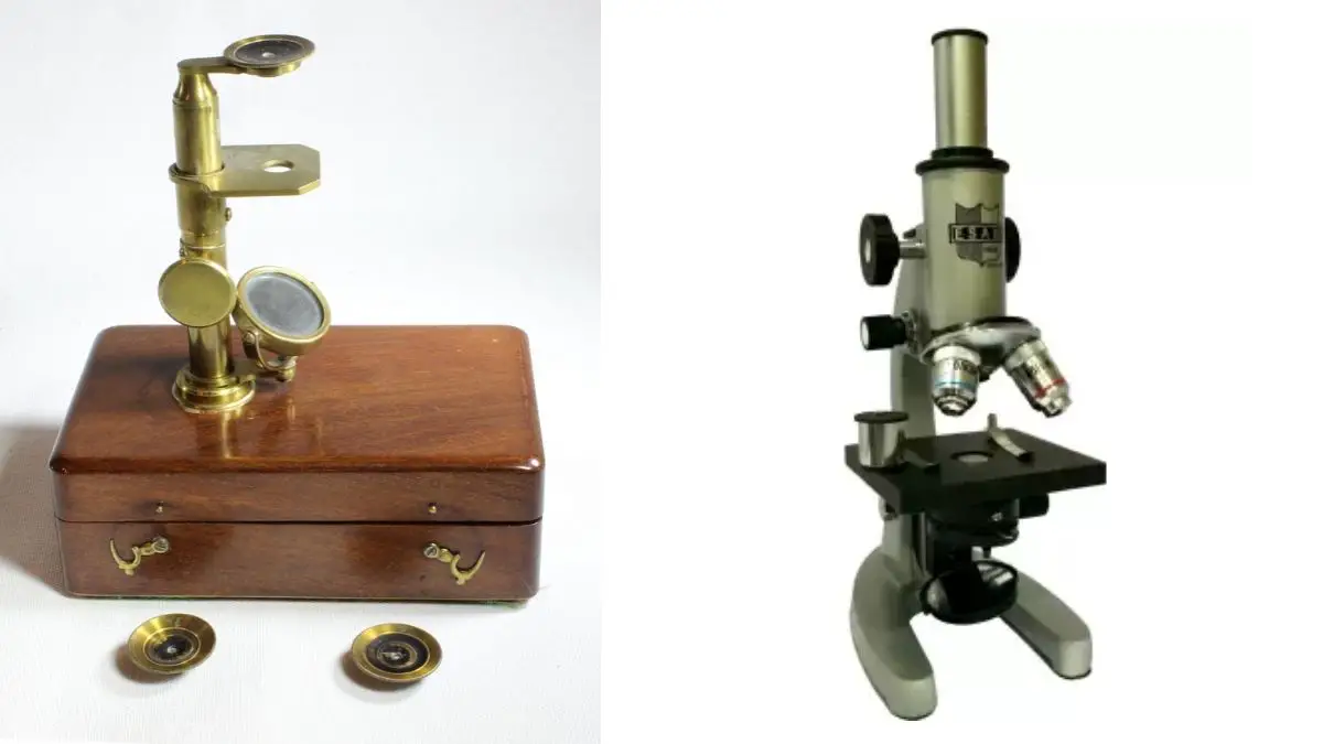 Simple Microscope: Working Principle, Uses, Parts, and their Functions.