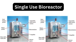 Single Use Bioreactor – Principle, Parts, Types, Uses