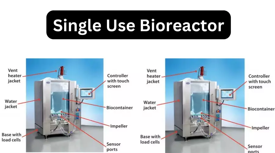 Single Use Bioreactor - Principle, Parts, Types, Uses