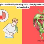 Staphylococcal food poisoning (SFP) - Staphylococcus aureus enterotoxins