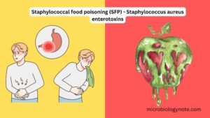 Staphylococcal food poisoning (SFP) – Staphylococcus aureus enterotoxins