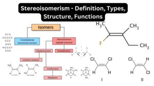 Stereoisomerism – Definition, Types, Structure, Functions