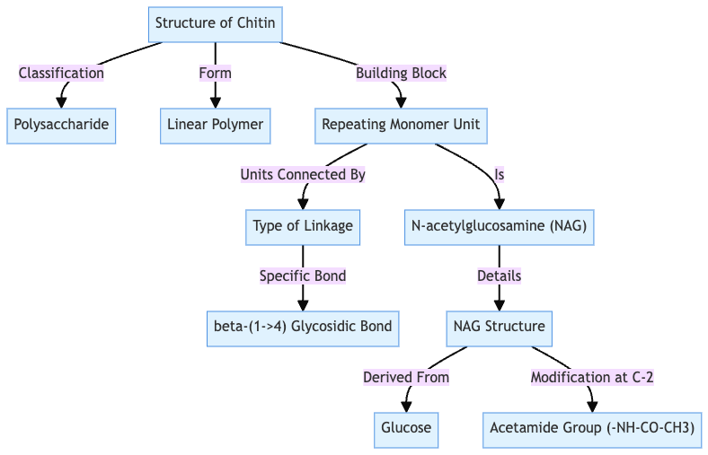 Microbial Degradation of Chitin - Microorganisms, Enzymes, Steps, Mechanisms 1 Structure of chitin