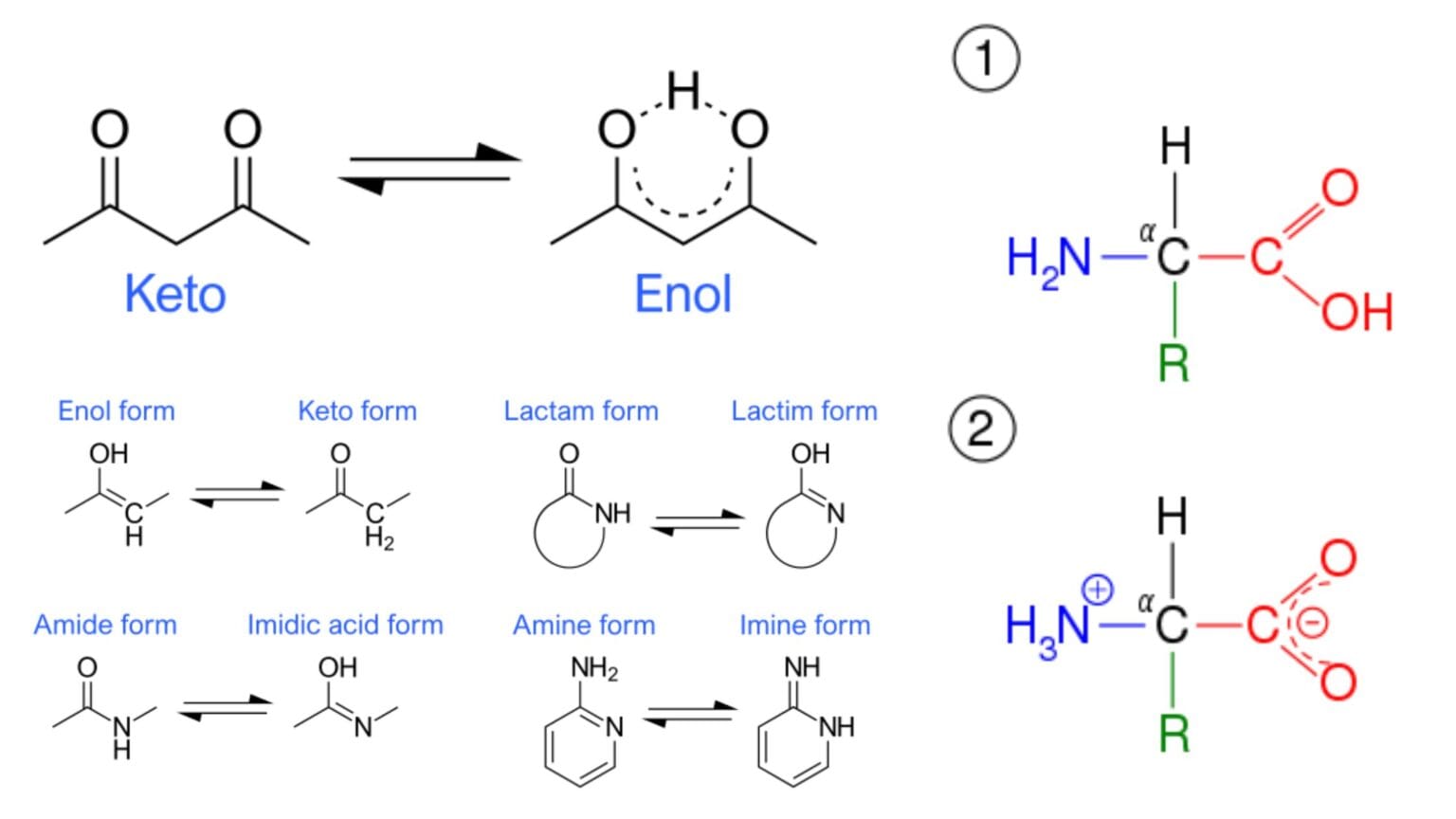 Structure Function Example Rth Stereoisomerism - Definition, Types, Structure, Functions - Biology ...