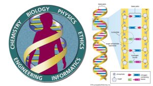The Human Genome Project – An Overview