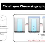 Thin Layer Chromatography - Principle, Components, Procedure, Application
