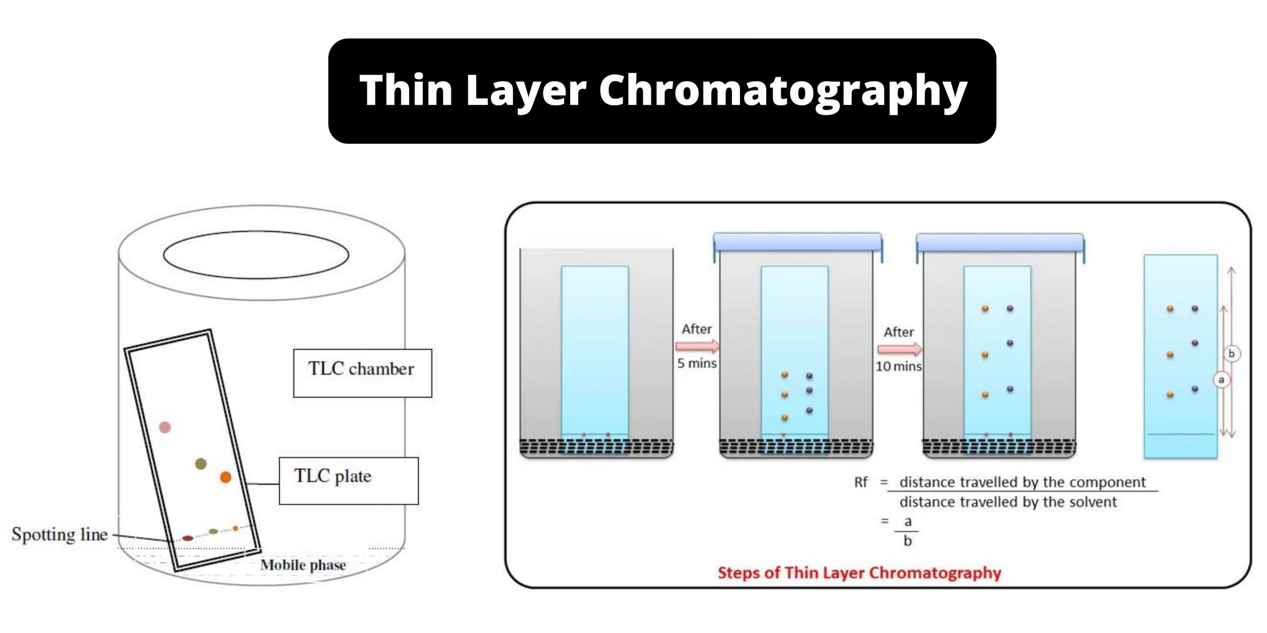 Thin Layer Chromatography - Principle, Components, Procedure, Application