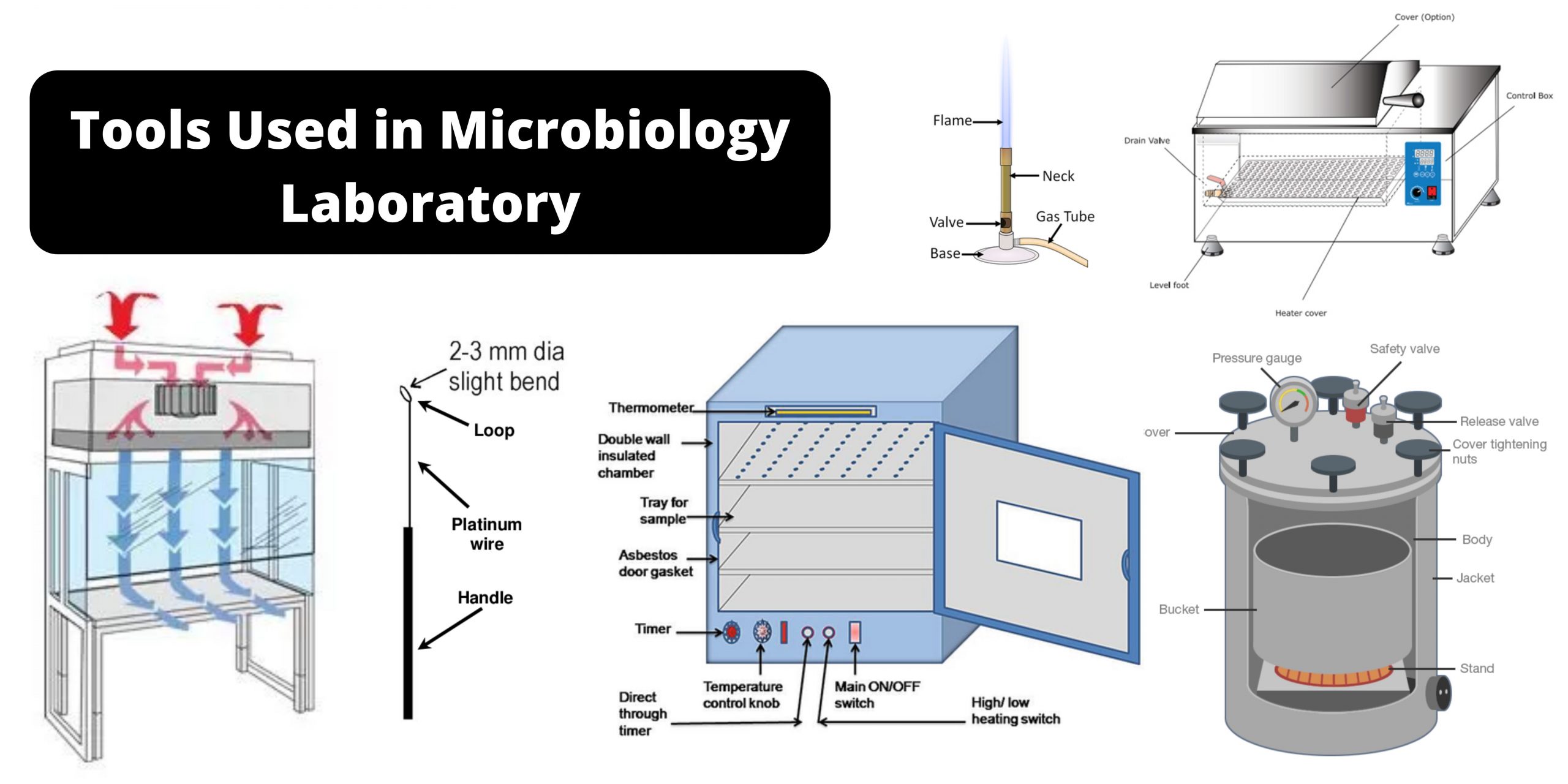 20 Tools Used in Microbiology Laboratory