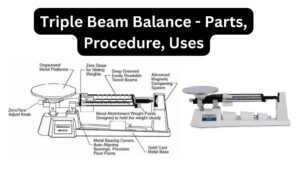 Triple Beam Balance – Parts, Procedure, Uses