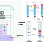Types of Chromatography - Definition, Principle, Steps, Uses