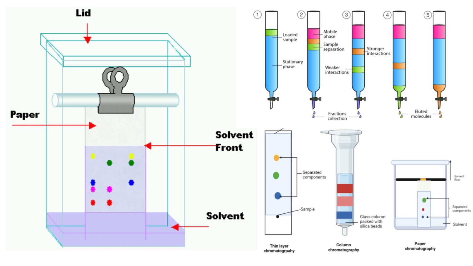 Column Chromatography - Principle, Steps, Parts, Uses, Advantages ...