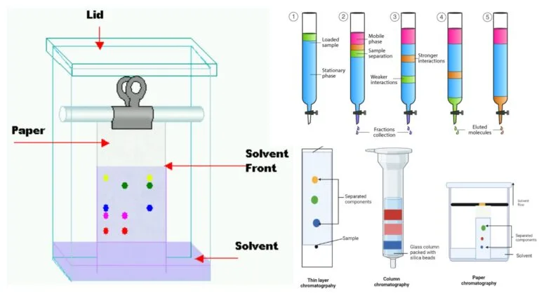 Types of Chromatography - Definition, Principle, Steps, Uses