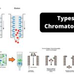 Classification of Chromatography